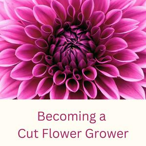 Lyssna på Becoming a Cut Flower Grower i appen