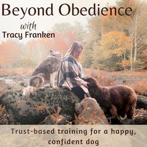 Lyssna på Beyond Obedience | Dog Training, Dog Behaviour Training, Scared Dogs, Reactive Dogs i appen