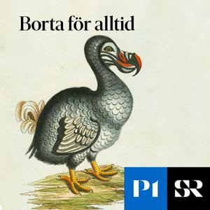 Lyssna på Borta för alltid i appen