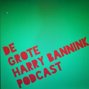 Lyssna på De Grote Harry Bannink Podcast i appen