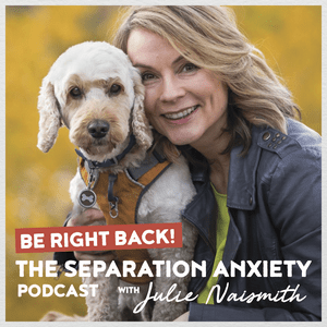 Lyssna på Be Right Back! The Separation Anxiety Podcast i appen