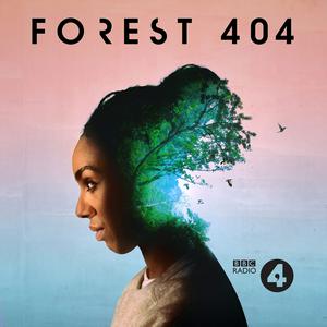 Lyssna på Forest 404 i appen