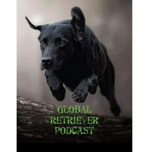 Lyssna på Global Retriever Podcast i appen