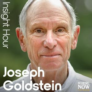 Lyssna på Insight Hour with Joseph Goldstein i appen