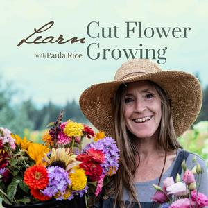 Lyssna på Learn Cut Flower Growing | Lessons from a seasoned farmer i appen