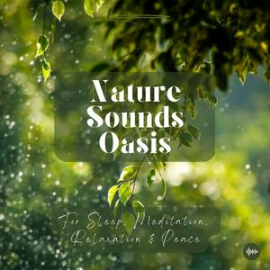 Lyssna på Nature Sounds Oasis | Relaxing Nature Sounds For Sleep, Meditation, Relaxation Or Focus | Sounds Of Nature | Sleep Sounds, Sleep Music, Meditation Sounds, Ocean Waves, Rain, White Noise & More i appen