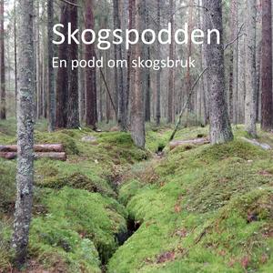 Lyssna på Skogspodden i appen