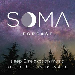 Lyssna på Sleep & Relaxation Music to Calm the Nervous System i appen