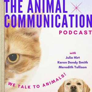 Lyssna på The Animal Communication Podcast i appen