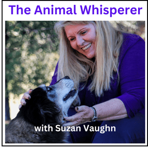 Lyssna på The Animal Whisperer with Suzan Vaughn: Animal Communication Stories i appen