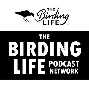 Lyssna på The Birding Life Podcast Network i appen