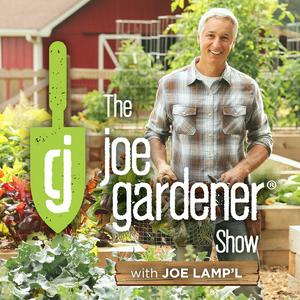 Lyssna på The joe gardener Show - Organic Gardening - Vegetable Gardening - Expert Garden Advice From Joe Lamp'l i appen