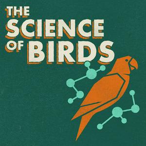 Lyssna på The Science of Birds i appen