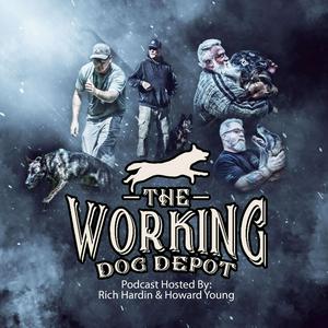 Lyssna på The Working Dog Depot Podcast i appen