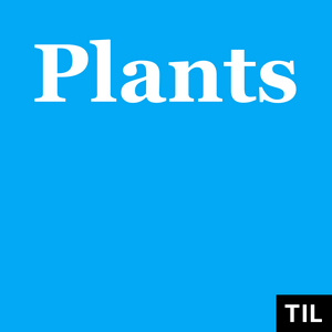 Lyssna på TIL: Plants i appen