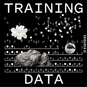 Lyssna på Training Data i appen