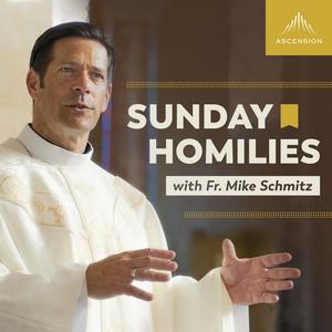 Lyssna på Sunday Homilies with Fr. Mike Schmitz i appen