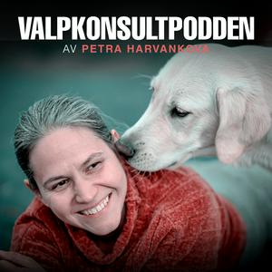 Lyssna på Valpkonsultpodden i appen